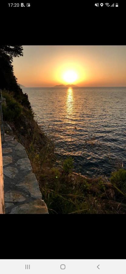 Villa Amos At Aquamarine Residence Vlorë 外观 照片